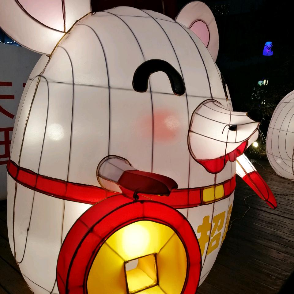 流金岁月