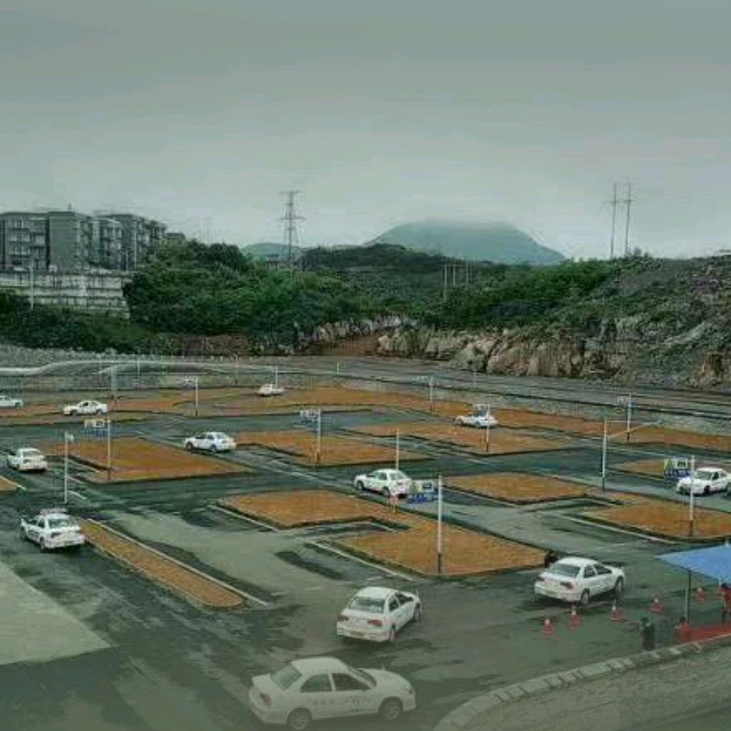 大方同心陈教练