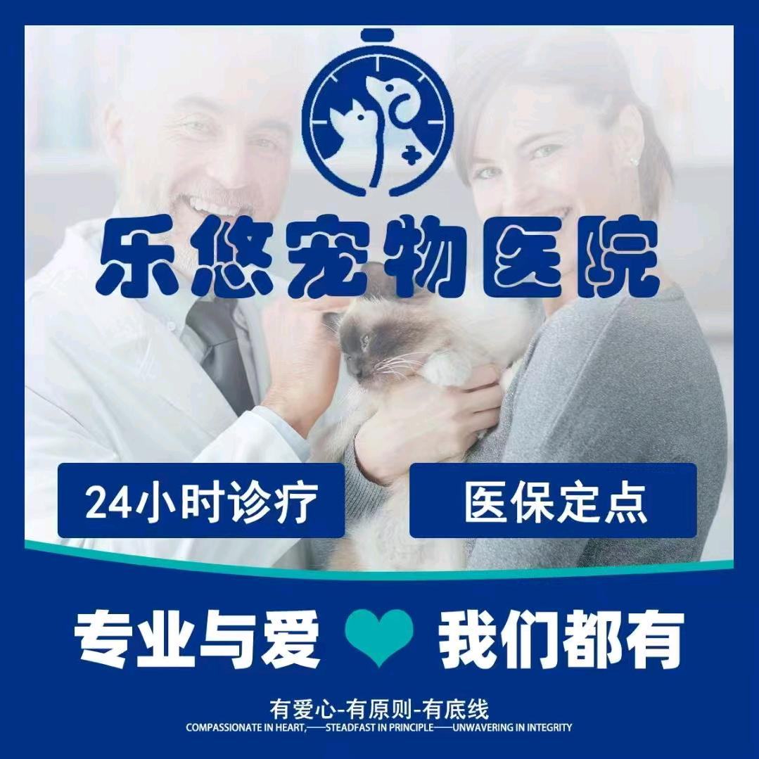 乐悠宠物医院(天宫院店)官方号