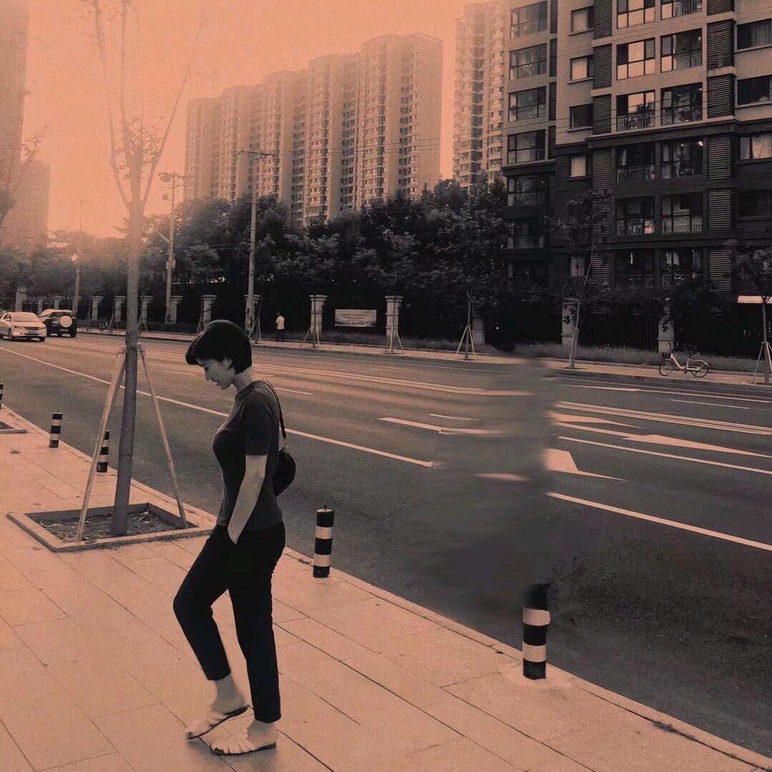 吐司杨