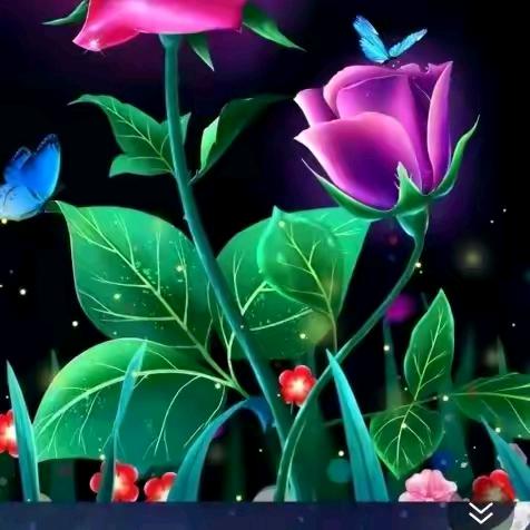 何双存红白喜事到脏水1738910696