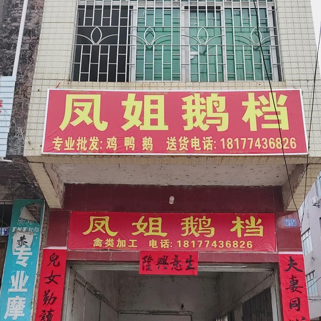 凤姐鹅档