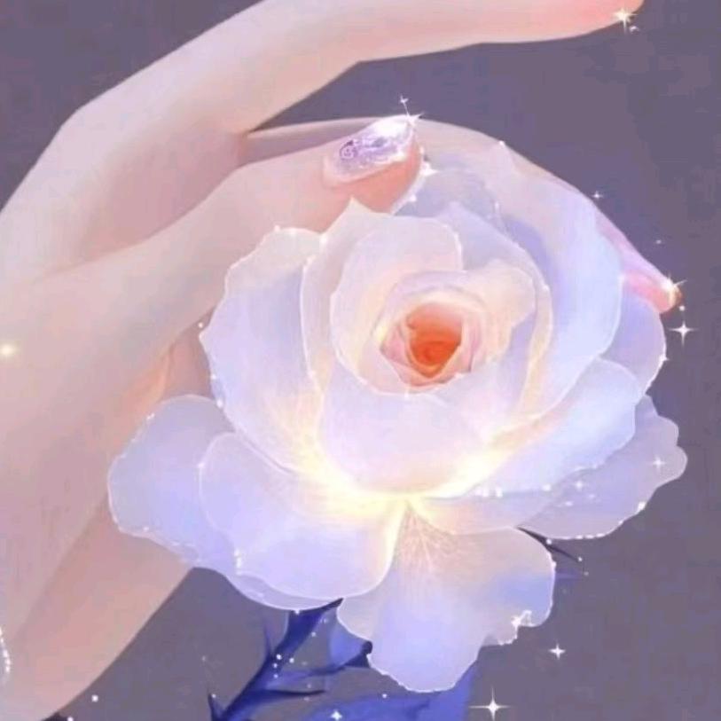 墨渊（🐶🐶）