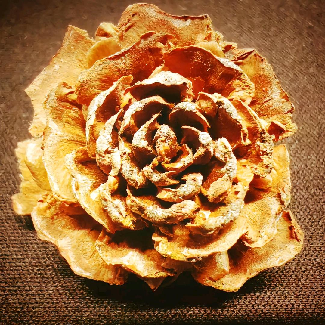 平安²⁰²⁵ 好运²⁰²⁵