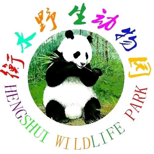 衡水野生动物园小二黑