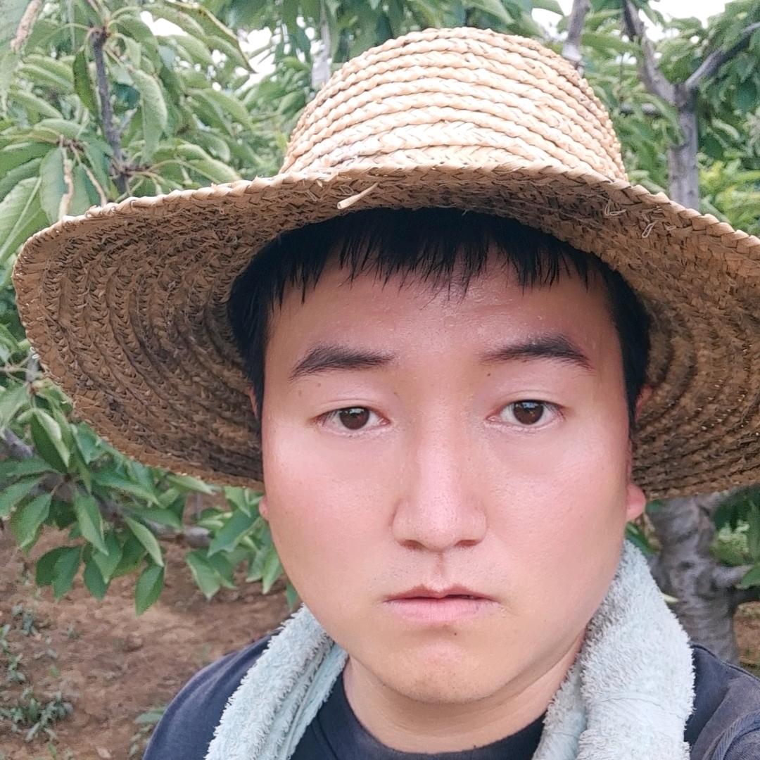 宝鸡小杨很努力