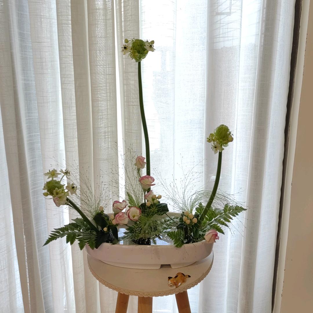 是西西呀