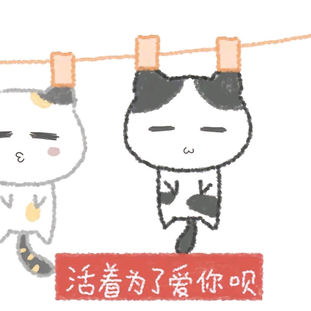 西瓜炖小橘