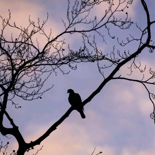 ฿初见犹如不了〃