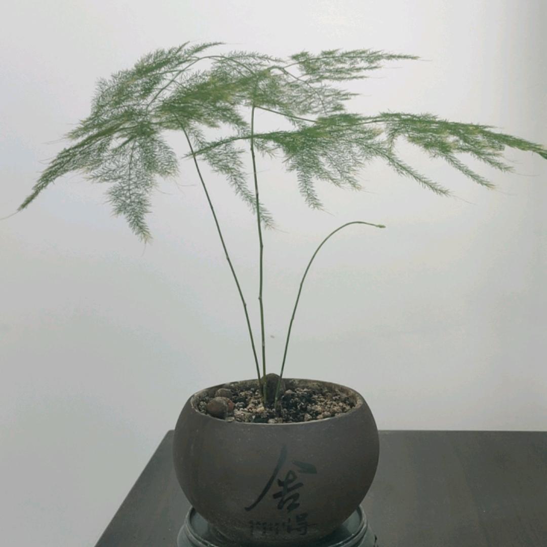 余生安好