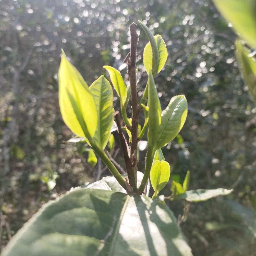 笑口常开😀😀