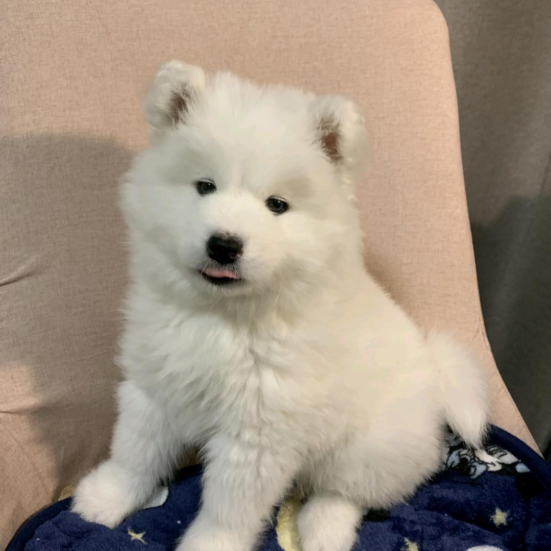 那就这样吧