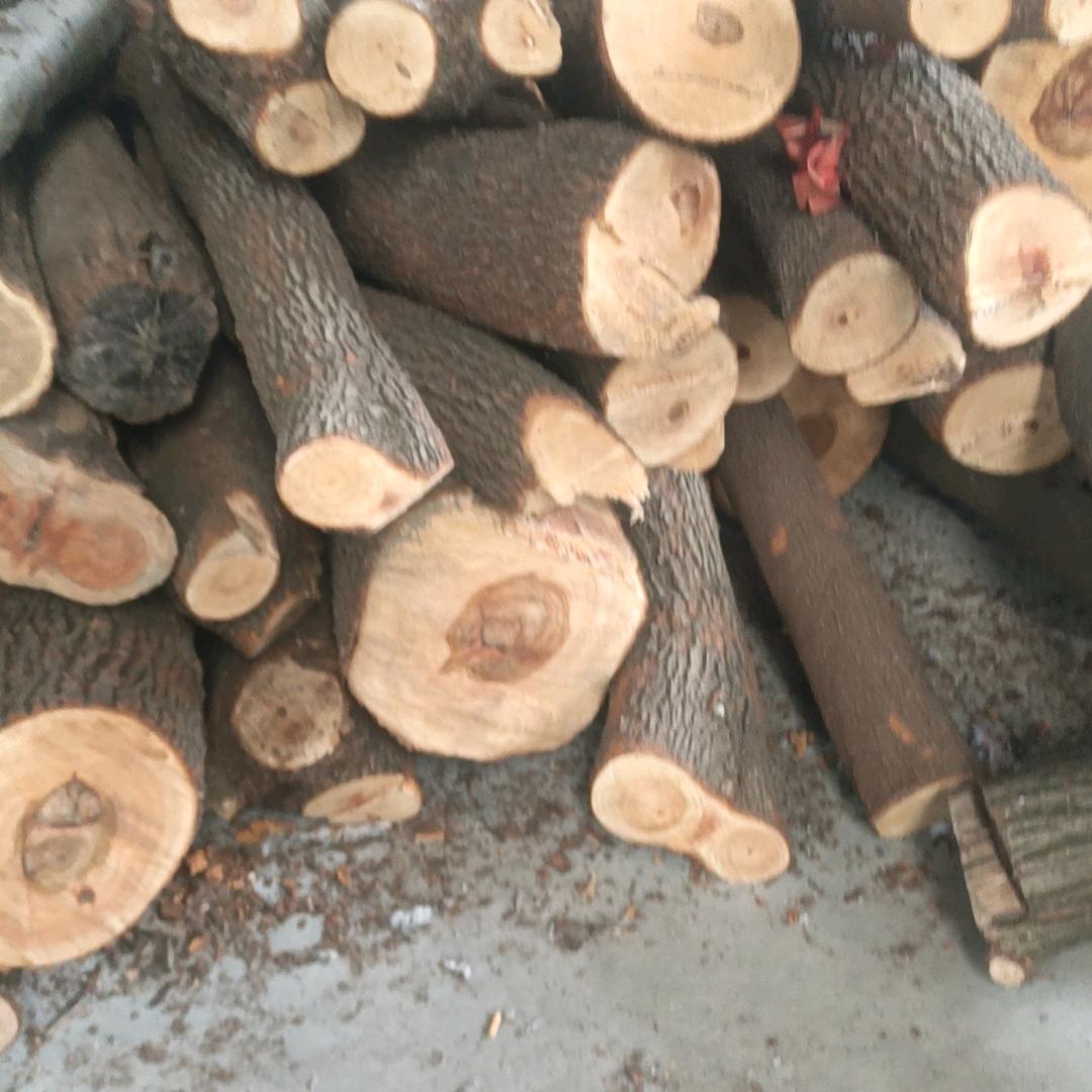 江阴北国后磊木材加工厂