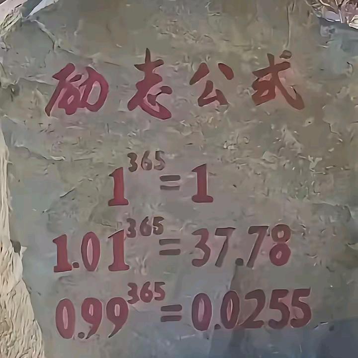 存善
