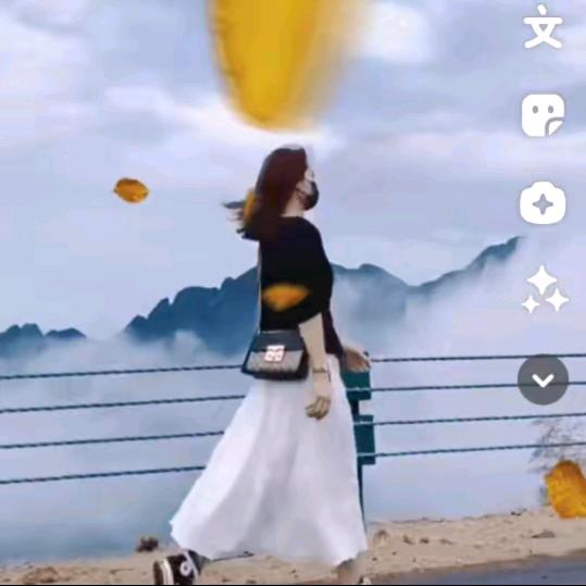 向往《橱窗好物》