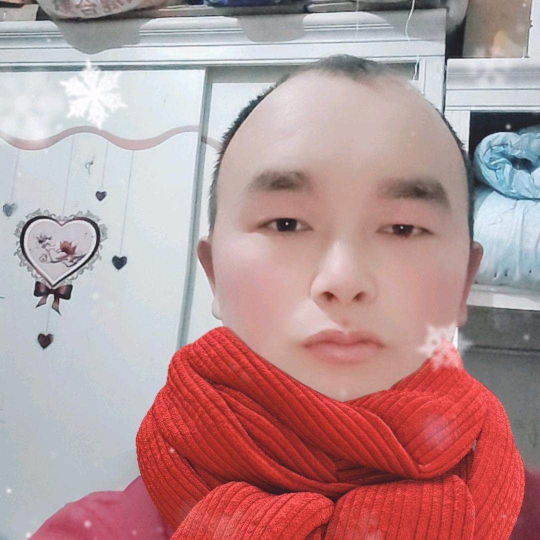 我愿飞的更高