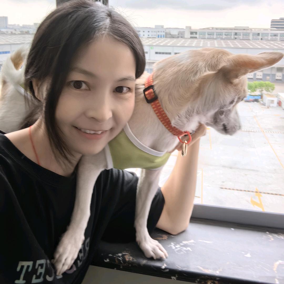 向阳哈哈