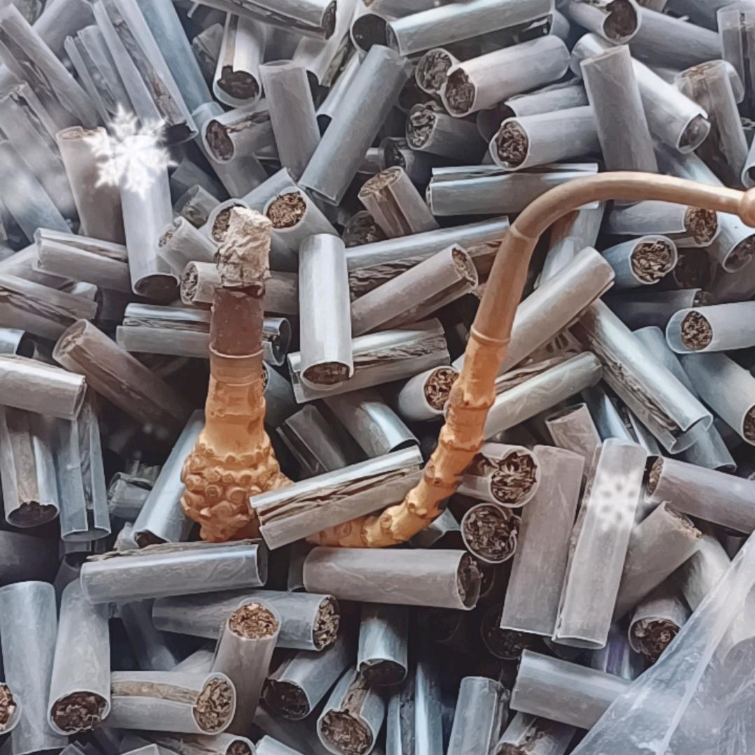 小叶子颜18885780117