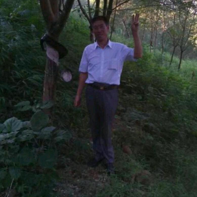 自由的人