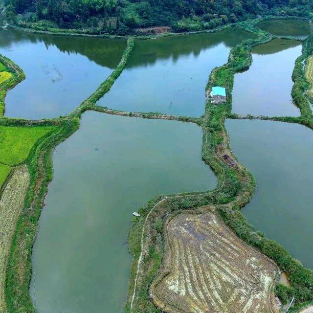 中方县利天生态水产养殖农民专业合作社