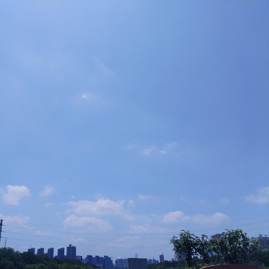 小笼包
