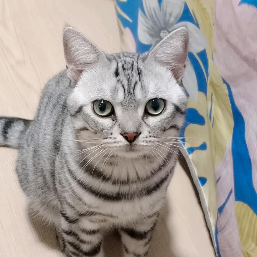 🕊幻墨এ᭄ꦿ꯭如꧔烟💞