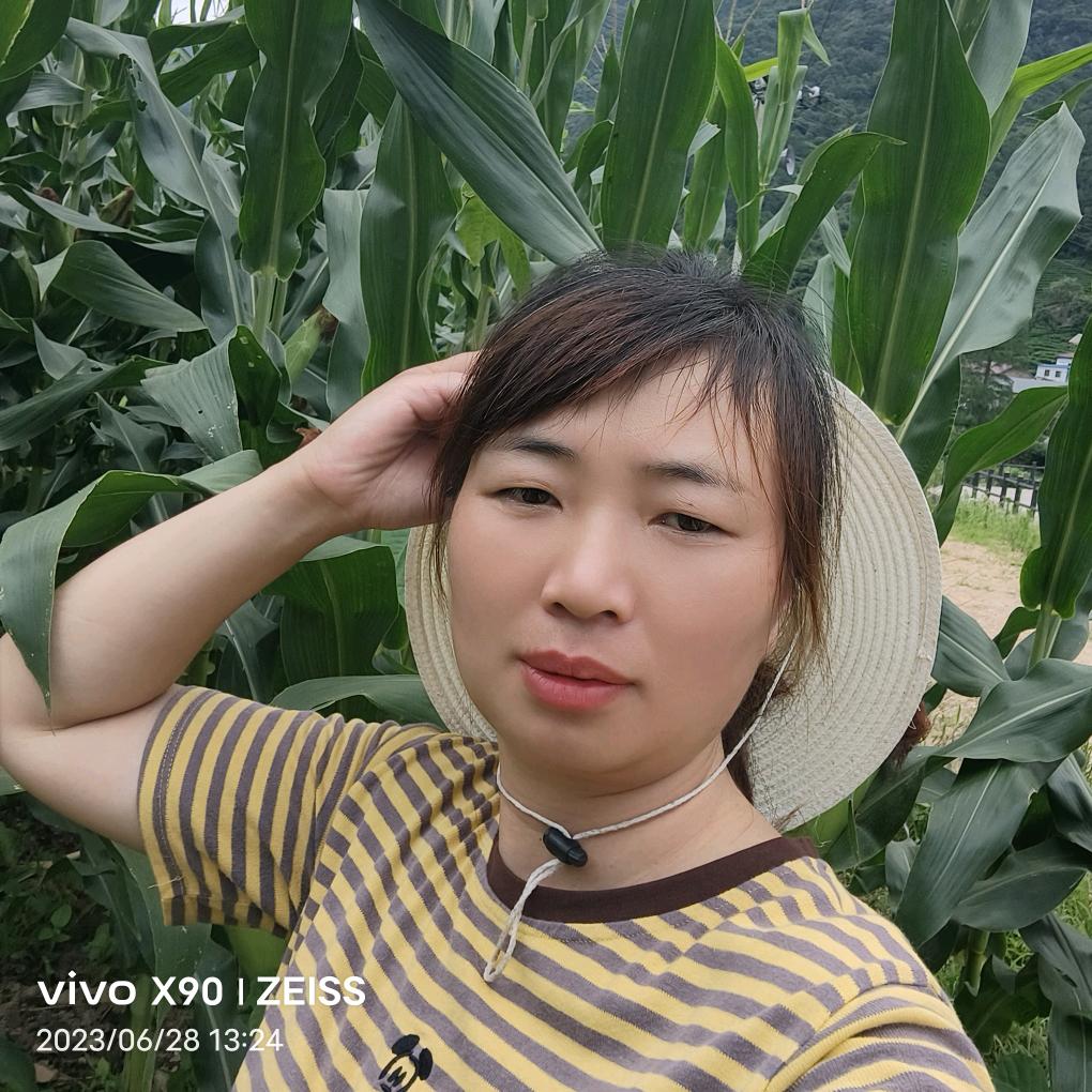 余金芳茶叶