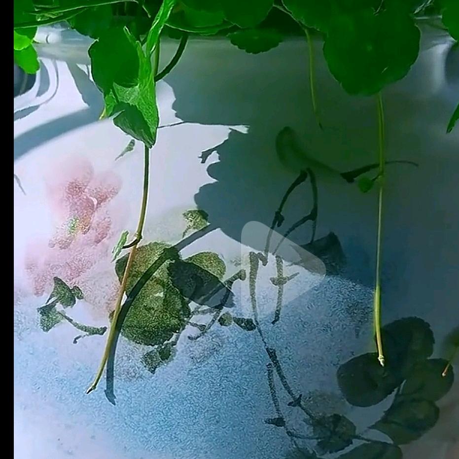 用户933310569865