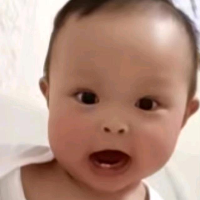 蒲公英