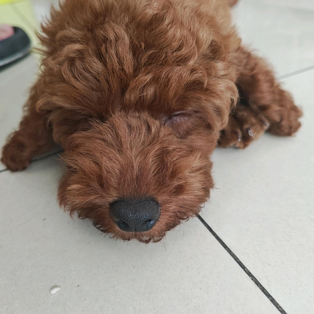 荆门市东宝区觥缪百货店（个体工商户）