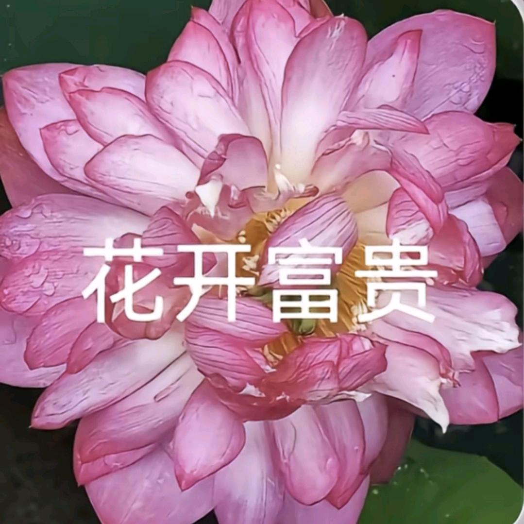 重生回到我对象卖勾子给我买大金镯子前一晚