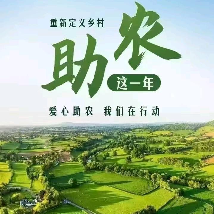 老卤香牛