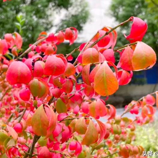 开心快乐美一天