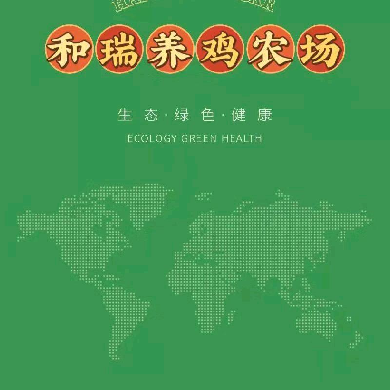 阳光妹妹