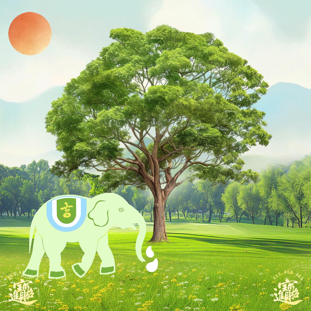 应有尽有—泓茜