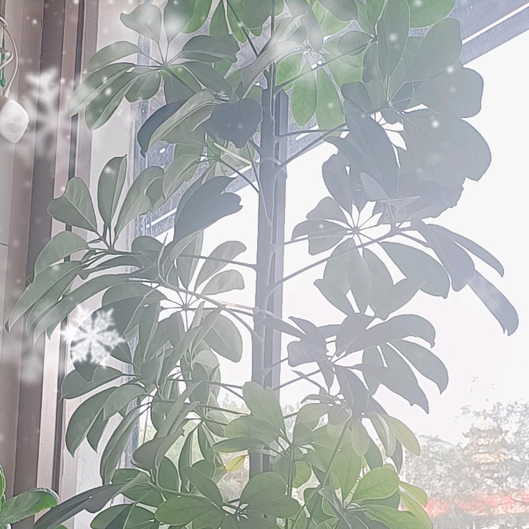 记录成长
