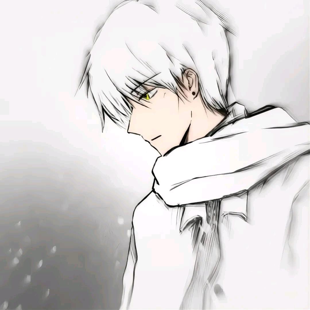 晚风亦挽风