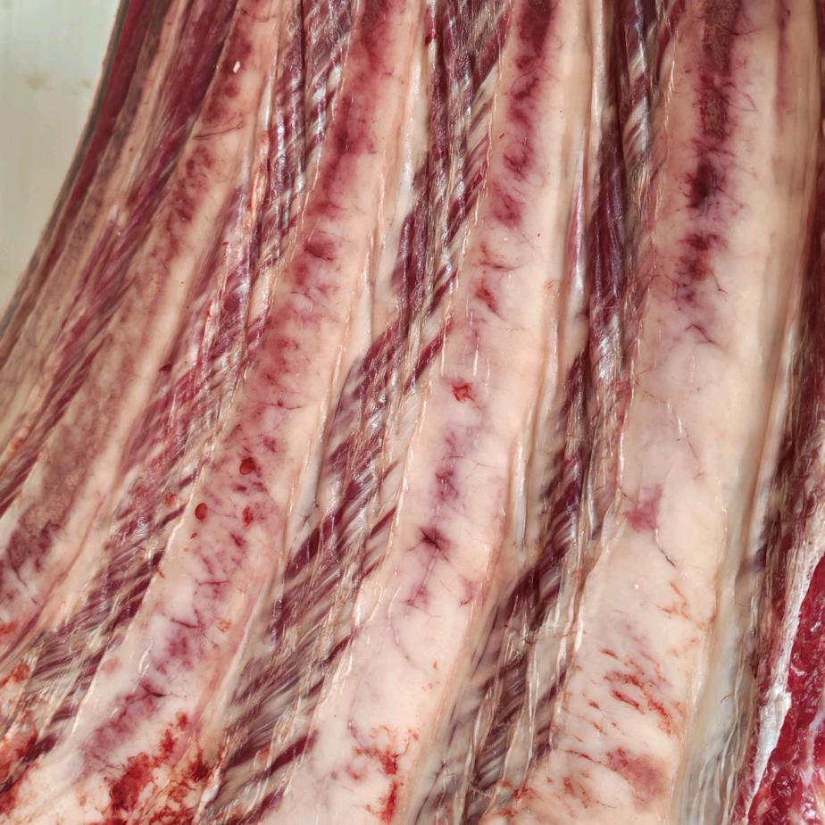 沙河市尚贤鲜牛肉