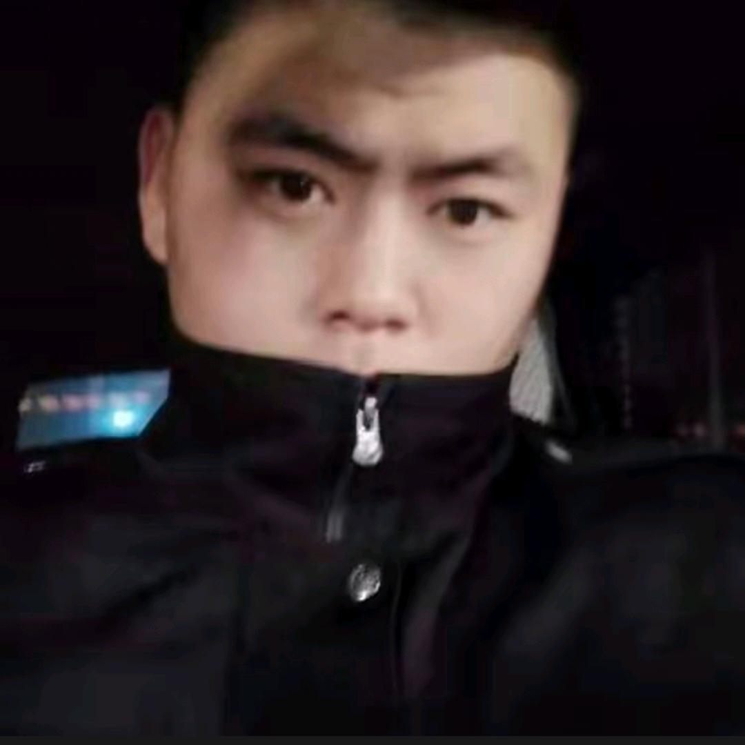 Z_P迪