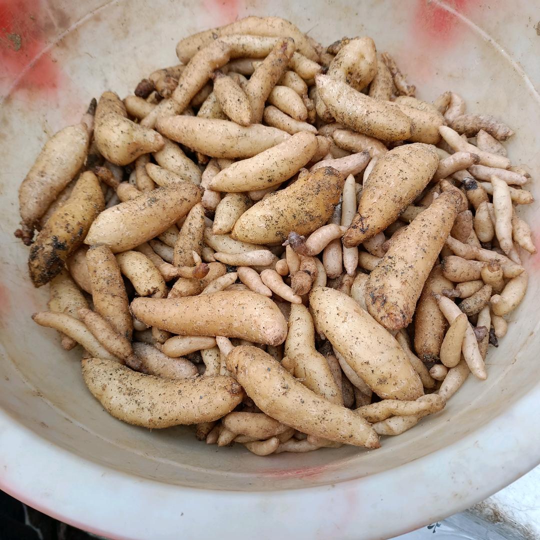 隔壁老陈哥🤝🤝😂😂