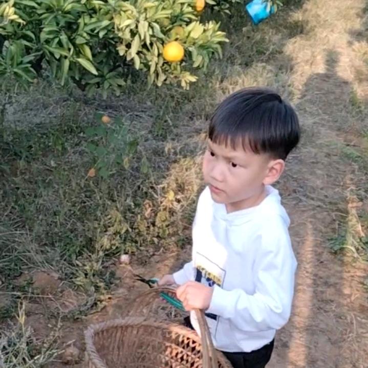 恩泽
