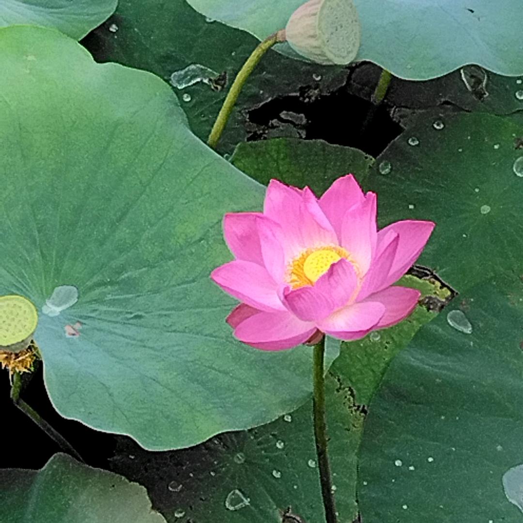 💫期待༗❤️远方༒