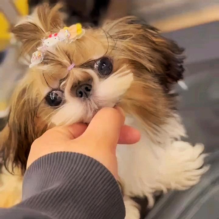 哎呦喂喂喂OUCH