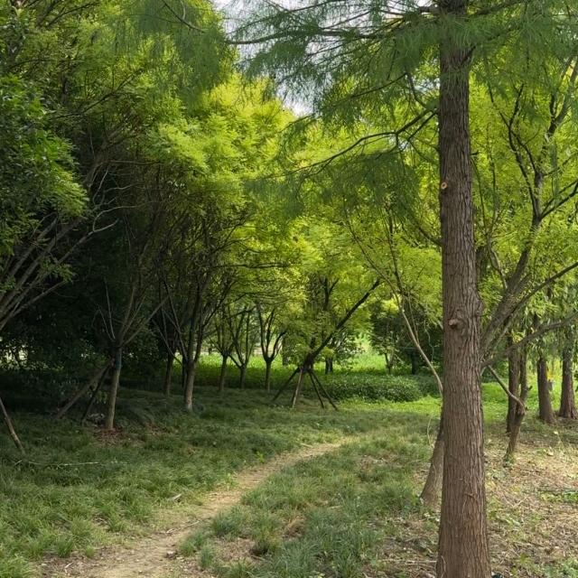 马哥故事会