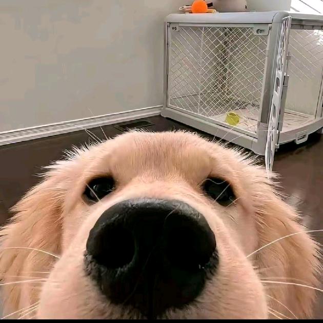 %