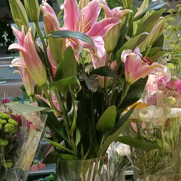 (@等待)🌹🌹🌹