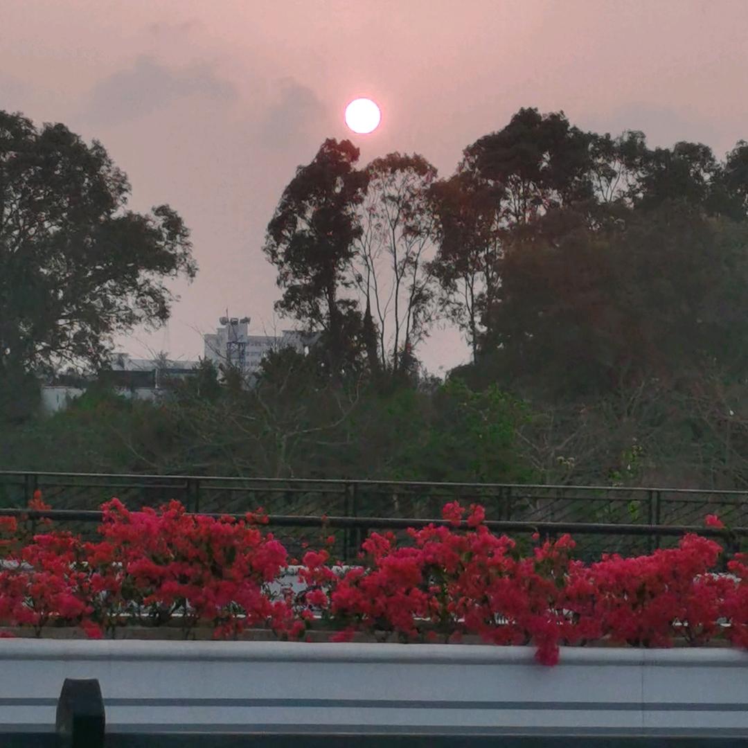 年华