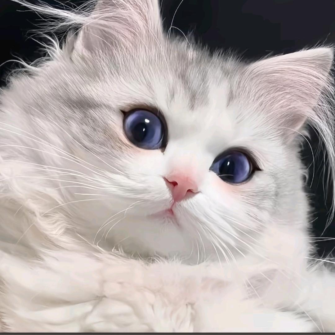 我是豆包