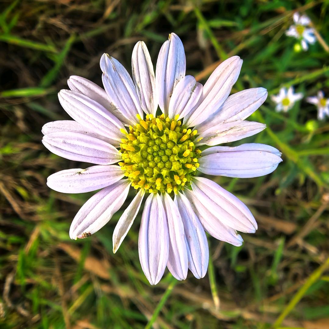 守始终，持初心