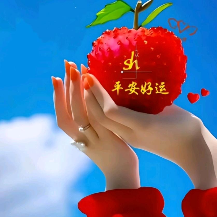 沐晨